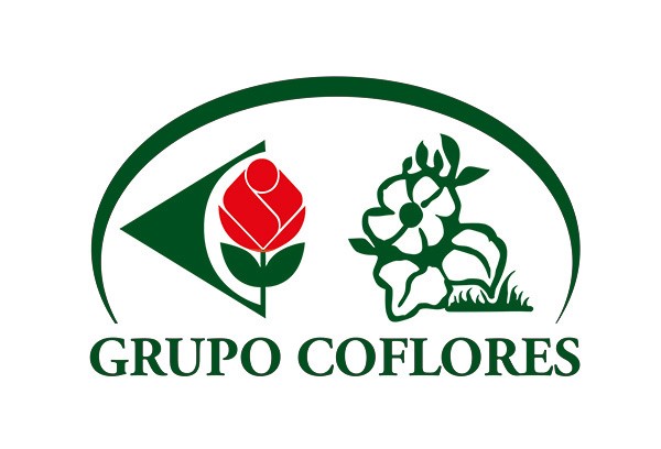 Logo Grupo
